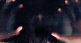 blog-des-na-draze